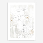 Shop Mandola II Art Print a painted abstract themed wall art print from The Print Emporium wall artwork collection - Buy Australian made fine art painting style poster and framed prints for the home and your interior decor room, TPE-PC-EZ976-AP