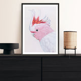 Shop Matilda The Major Mitchell Cockatoo Art Print a painted bird themed wall art print from The Print Emporium wall artwork collection - Buy Australian made fine art painting style poster and framed prints for the home and your interior decor room, TPE-203-AP