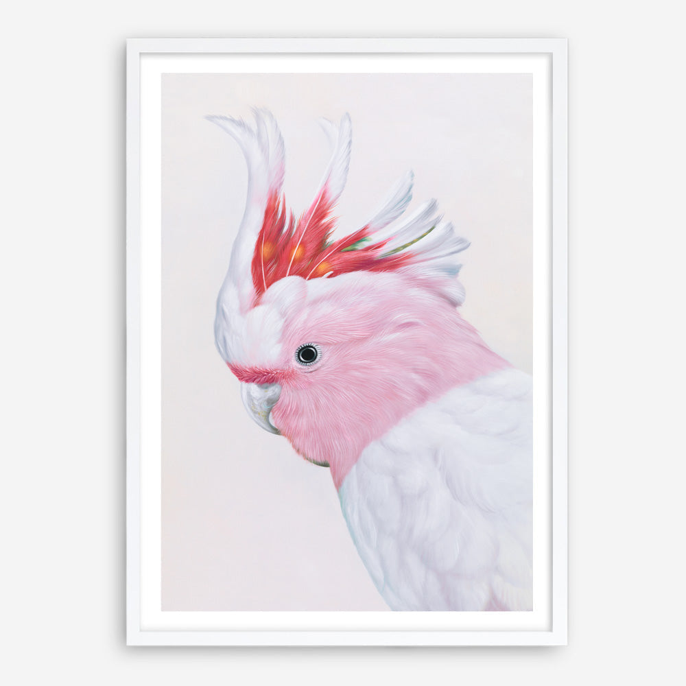 Shop Matilda The Major Mitchell Cockatoo Art Print a painted bird themed wall art print from The Print Emporium wall artwork collection - Buy Australian made fine art painting style poster and framed prints for the home and your interior decor room, TPE-203-AP