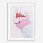 Shop Matilda The Major Mitchell Cockatoo Art Print a painted bird themed wall art print from The Print Emporium wall artwork collection - Buy Australian made fine art painting style poster and framed prints for the home and your interior decor room, TPE-203-AP