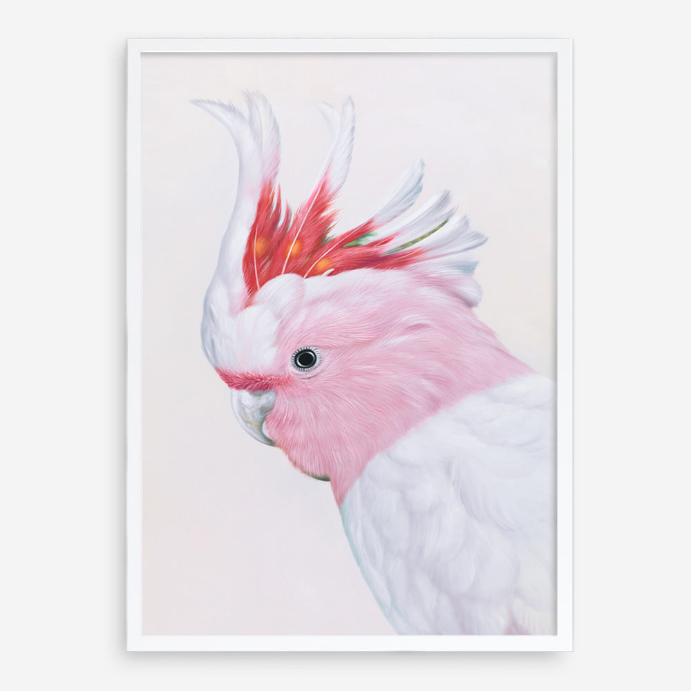 Shop Matilda The Major Mitchell Cockatoo Art Print a painted bird themed wall art print from The Print Emporium wall artwork collection - Buy Australian made fine art painting style poster and framed prints for the home and your interior decor room, TPE-203-AP