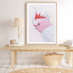 Shop Matilda The Major Mitchell Cockatoo Art Print a painted bird themed wall art print from The Print Emporium wall artwork collection - Buy Australian made fine art painting style poster and framed prints for the home and your interior decor room, TPE-203-AP