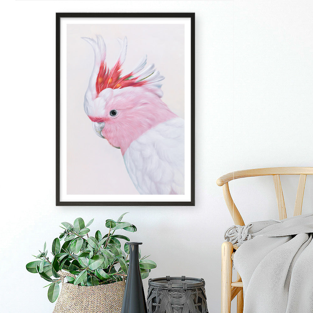 Shop Matilda The Major Mitchell Cockatoo Art Print a painted bird themed wall art print from The Print Emporium wall artwork collection - Buy Australian made fine art painting style poster and framed prints for the home and your interior decor room, TPE-203-AP