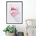 Shop Matilda The Major Mitchell Cockatoo Art Print a painted bird themed wall art print from The Print Emporium wall artwork collection - Buy Australian made fine art painting style poster and framed prints for the home and your interior decor room, TPE-203-AP