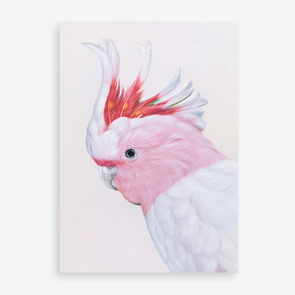 Shop Matilda The Major Mitchell Cockatoo Art Print a painted bird themed wall art print from The Print Emporium wall artwork collection - Buy Australian made fine art painting style poster and framed prints for the home and your interior decor room, TPE-203-AP