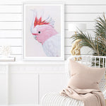 Shop Matilda The Major Mitchell Cockatoo Art Print a painted bird themed wall art print from The Print Emporium wall artwork collection - Buy Australian made fine art painting style poster and framed prints for the home and your interior decor room, TPE-203-AP