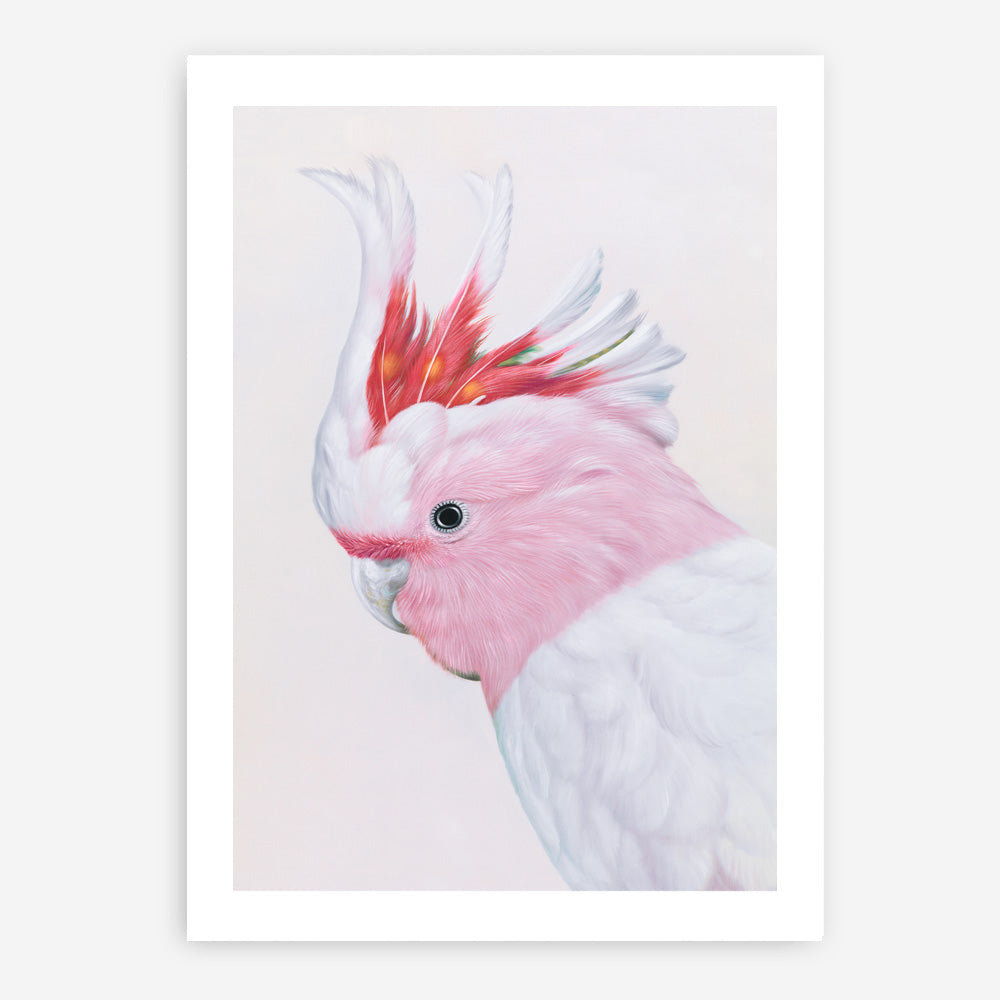 Shop Matilda The Major Mitchell Cockatoo Art Print a painted bird themed wall art print from The Print Emporium wall artwork collection - Buy Australian made fine art painting style poster and framed prints for the home and your interior decor room, TPE-203-AP