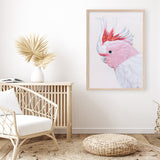 Shop Matilda The Major Mitchell Cockatoo Art Print a painted bird themed wall art print from The Print Emporium wall artwork collection - Buy Australian made fine art painting style poster and framed prints for the home and your interior decor room, TPE-203-AP