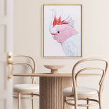 Shop Matilda The Major Mitchell Cockatoo Canvas Print a painted bird themed framed canvas wall art print from The Print Emporium artwork collection - Buy Australian made fine art painting style stretched canvas prints for the home and your interior decor space, TPE-203-CA-35X46-NF