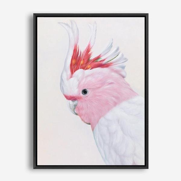 Shop Matilda The Major Mitchell Cockatoo Canvas Print a painted bird themed framed canvas wall art print from The Print Emporium artwork collection - Buy Australian made fine art painting style stretched canvas prints for the home and your interior decor space, TPE-203-CA-35X46-NF