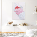 Shop Matilda The Major Mitchell Cockatoo Canvas Print a painted bird themed framed canvas wall art print from The Print Emporium artwork collection - Buy Australian made fine art painting style stretched canvas prints for the home and your interior decor space, TPE-203-CA-35X46-NF