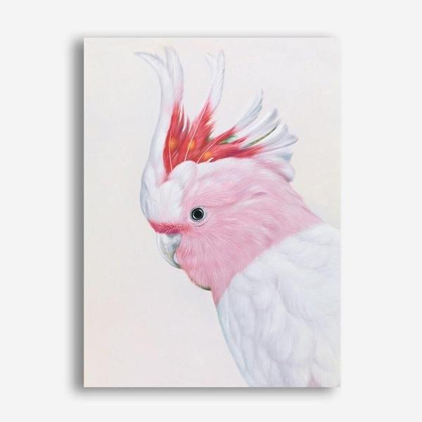 Shop Matilda The Major Mitchell Cockatoo Canvas Print a painted bird themed framed canvas wall art print from The Print Emporium artwork collection - Buy Australian made fine art painting style stretched canvas prints for the home and your interior decor space, TPE-203-CA-35X46-NF