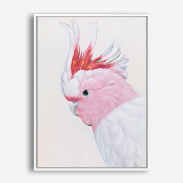 Shop Matilda The Major Mitchell Cockatoo Canvas Print a painted bird themed framed canvas wall art print from The Print Emporium artwork collection - Buy Australian made fine art painting style stretched canvas prints for the home and your interior decor space, TPE-203-CA-35X46-NF
