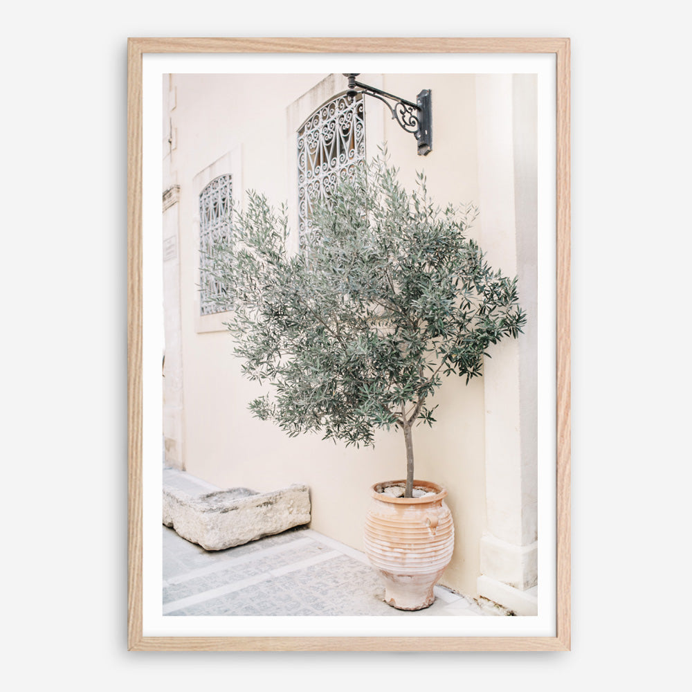 Shop Mediterranean Villa Photo Art Print a photography wall art print from The Print Emporium wall artwork collection - Buy Australian made fine art poster and framed prints for the home and your interior decor room, TPE-1311-AP