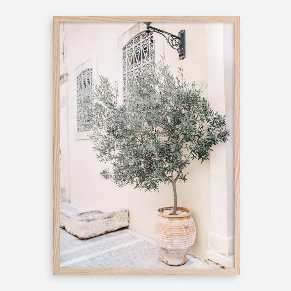 Shop Mediterranean Villa Photo Art Print a photography wall art print from The Print Emporium wall artwork collection - Buy Australian made fine art poster and framed prints for the home and your interior decor room, TPE-1311-AP