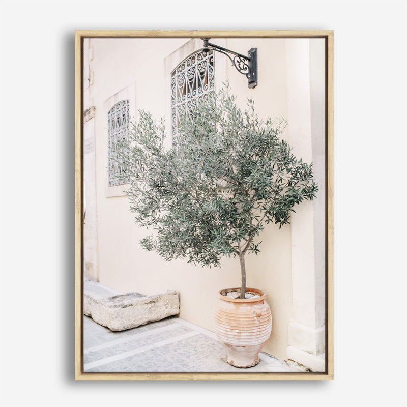 Shop Mediterranean Villa Photo Canvas Print a photography framed stretched canvas print from The Print Emporium wall artwork collection - Buy Australian made prints for the home and your interior decor space, TPE-1311-CA-35X46-NF