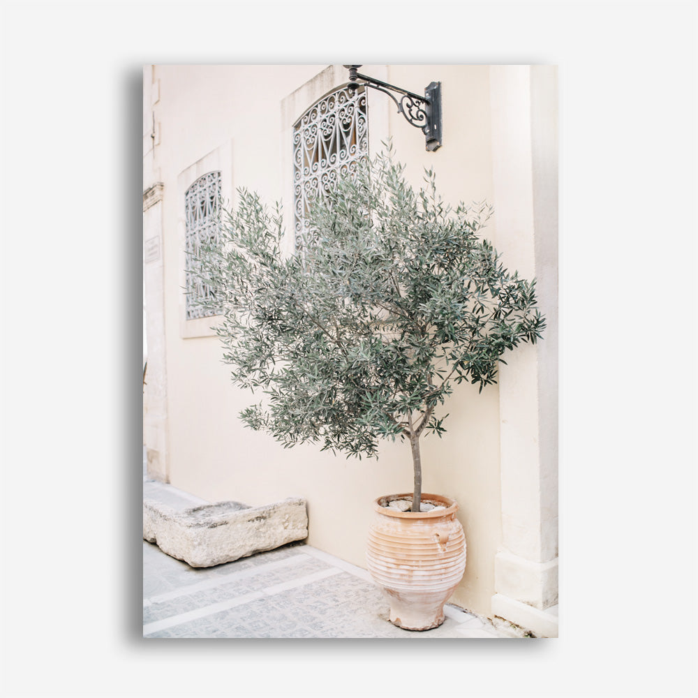 Shop Mediterranean Villa Photo Canvas Print a photography framed stretched canvas print from The Print Emporium wall artwork collection - Buy Australian made prints for the home and your interior decor space, TPE-1311-CA-35X46-NF