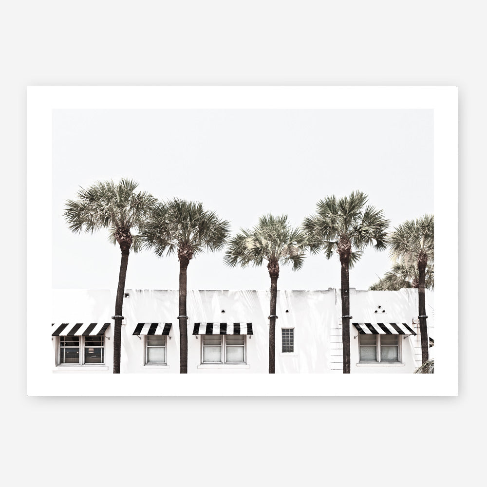 Shop Miami II Photo Art Print a coastal themed photography wall art print from The Print Emporium wall artwork collection - Buy Australian made fine art poster and framed prints for the home and your interior decor, TPE-619-AP