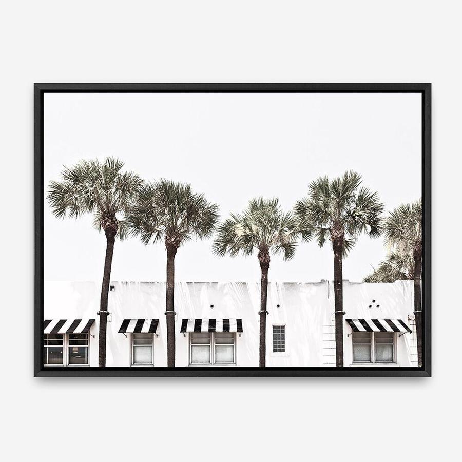 Shop Miami II Photo Canvas Print a coastal themed photography framed stretched canvas print from The Print Emporium wall artwork collection - Buy Australian made prints for the home and your interior decor space, TPE-619-CA-35X46-NF