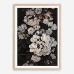 Shop Midnight Garden Art Print a floral themed painted wall art print from The Print Emporium wall artwork collection - Buy Australian made fine art painting style poster and framed prints for the home and your interior decor room, TPE-014-AP