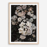 Shop Midnight Garden Art Print a floral themed painted wall art print from The Print Emporium wall artwork collection - Buy Australian made fine art painting style poster and framed prints for the home and your interior decor room, TPE-014-AP
