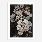 Shop Midnight Garden Art Print a floral themed painted wall art print from The Print Emporium wall artwork collection - Buy Australian made fine art painting style poster and framed prints for the home and your interior decor room, TPE-014-AP