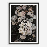 Shop Midnight Garden Art Print a floral themed painted wall art print from The Print Emporium wall artwork collection - Buy Australian made fine art painting style poster and framed prints for the home and your interior decor room, TPE-014-AP