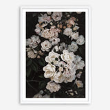 Shop Midnight Garden Art Print a floral themed painted wall art print from The Print Emporium wall artwork collection - Buy Australian made fine art painting style poster and framed prints for the home and your interior decor room, TPE-014-AP