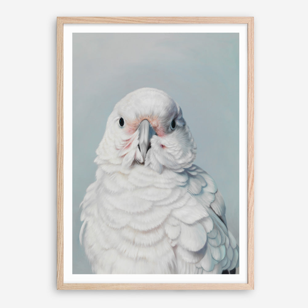 Shop Milly The Umbrella Cockatoo Art Print a painted bird themed wall art print from The Print Emporium wall artwork collection - Buy Australian made fine art painting style poster and framed prints for the home and your interior decor room, TPE-202-AP