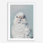 Shop Milly The Umbrella Cockatoo Art Print a painted bird themed wall art print from The Print Emporium wall artwork collection - Buy Australian made fine art painting style poster and framed prints for the home and your interior decor room, TPE-202-AP