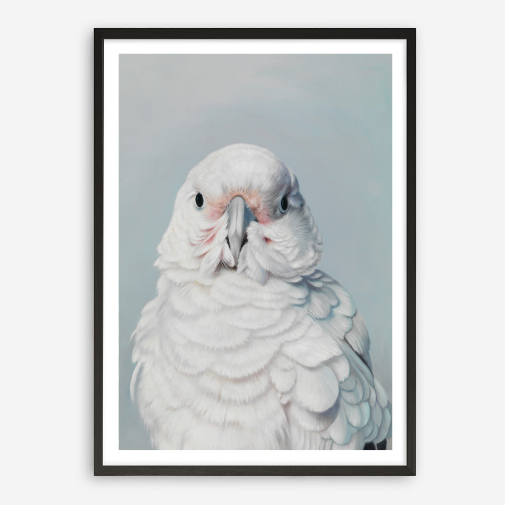 Shop Milly The Umbrella Cockatoo Art Print a painted bird themed wall art print from The Print Emporium wall artwork collection - Buy Australian made fine art painting style poster and framed prints for the home and your interior decor room, TPE-202-AP
