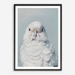 Shop Milly The Umbrella Cockatoo Art Print a painted bird themed wall art print from The Print Emporium wall artwork collection - Buy Australian made fine art painting style poster and framed prints for the home and your interior decor room, TPE-202-AP