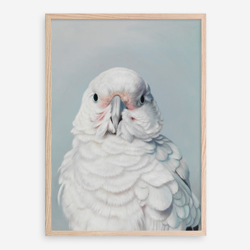 Shop Milly The Umbrella Cockatoo Art Print a painted bird themed wall art print from The Print Emporium wall artwork collection - Buy Australian made fine art painting style poster and framed prints for the home and your interior decor room, TPE-202-AP