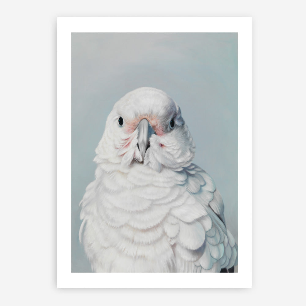 Shop Milly The Umbrella Cockatoo Art Print a painted bird themed wall art print from The Print Emporium wall artwork collection - Buy Australian made fine art painting style poster and framed prints for the home and your interior decor room, TPE-202-AP