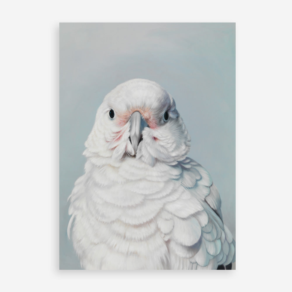 Shop Milly The Umbrella Cockatoo Art Print a painted bird themed wall art print from The Print Emporium wall artwork collection - Buy Australian made fine art painting style poster and framed prints for the home and your interior decor room, TPE-202-AP