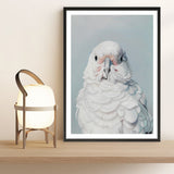 Shop Milly The Umbrella Cockatoo Art Print a painted bird themed wall art print from The Print Emporium wall artwork collection - Buy Australian made fine art painting style poster and framed prints for the home and your interior decor room, TPE-202-AP