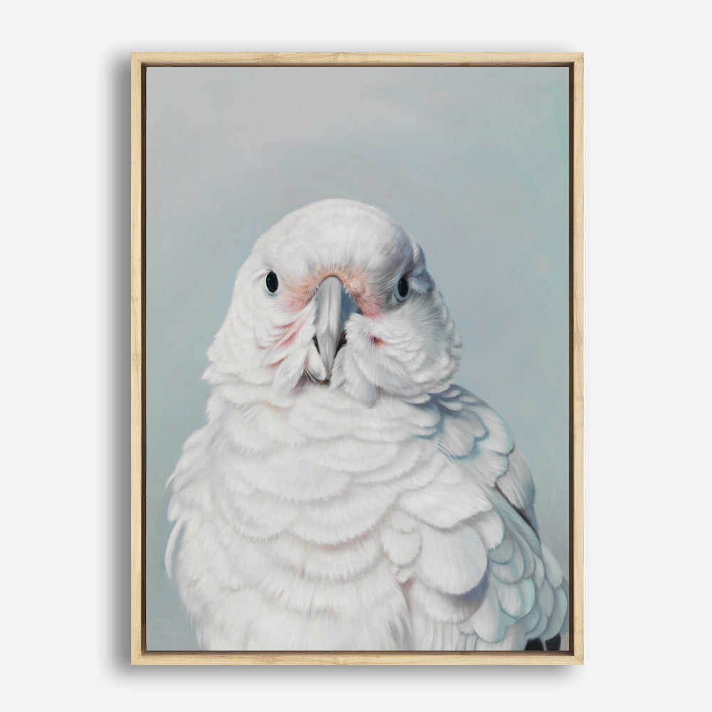 Shop Milly The Umbrella Cockatoo Canvas Print a painted bird themed framed canvas wall art print from The Print Emporium artwork collection - Buy Australian made fine art painting style stretched canvas prints for the home and your interior decor space, TPE-202-CA-35X46-NF