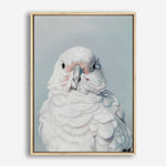 Shop Milly The Umbrella Cockatoo Canvas Print a painted bird themed framed canvas wall art print from The Print Emporium artwork collection - Buy Australian made fine art painting style stretched canvas prints for the home and your interior decor space, TPE-202-CA-35X46-NF