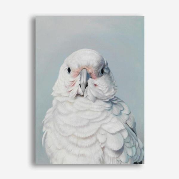 Shop Milly The Umbrella Cockatoo Canvas Print a painted bird themed framed canvas wall art print from The Print Emporium artwork collection - Buy Australian made fine art painting style stretched canvas prints for the home and your interior decor space, TPE-202-CA-35X46-NF