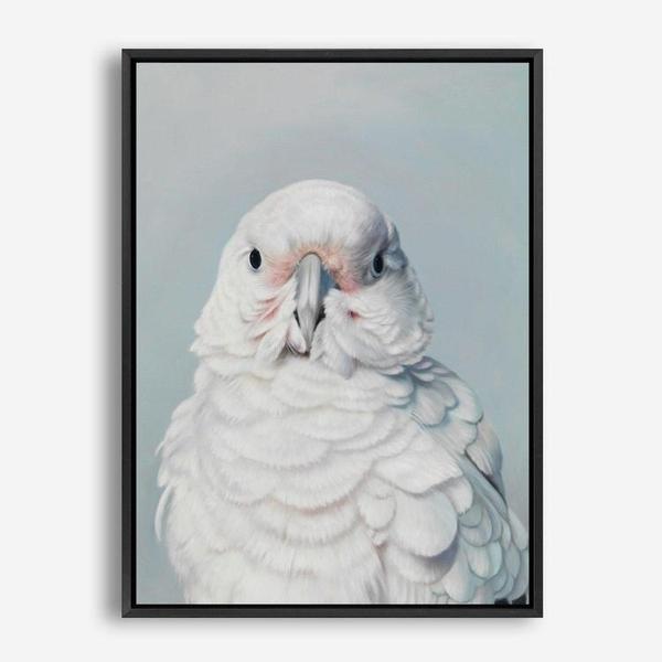 Shop Milly The Umbrella Cockatoo Canvas Print a painted bird themed framed canvas wall art print from The Print Emporium artwork collection - Buy Australian made fine art painting style stretched canvas prints for the home and your interior decor space, TPE-202-CA-35X46-NF