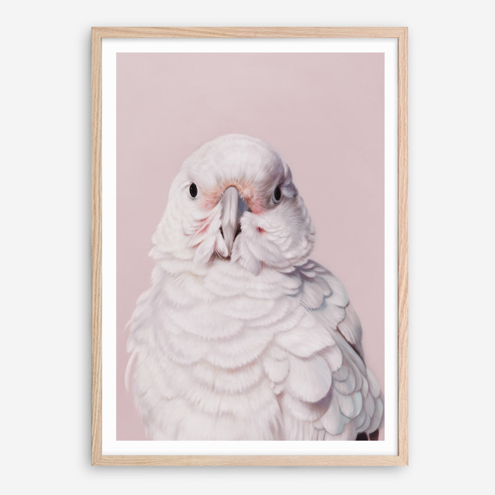 Shop Milly The Umbrella Cockatoo - Pink Art Print a painted bird themed wall art print from The Print Emporium wall artwork collection - Buy Australian made fine art painting style poster and framed prints for the home and your interior decor room, TPE-244-AP