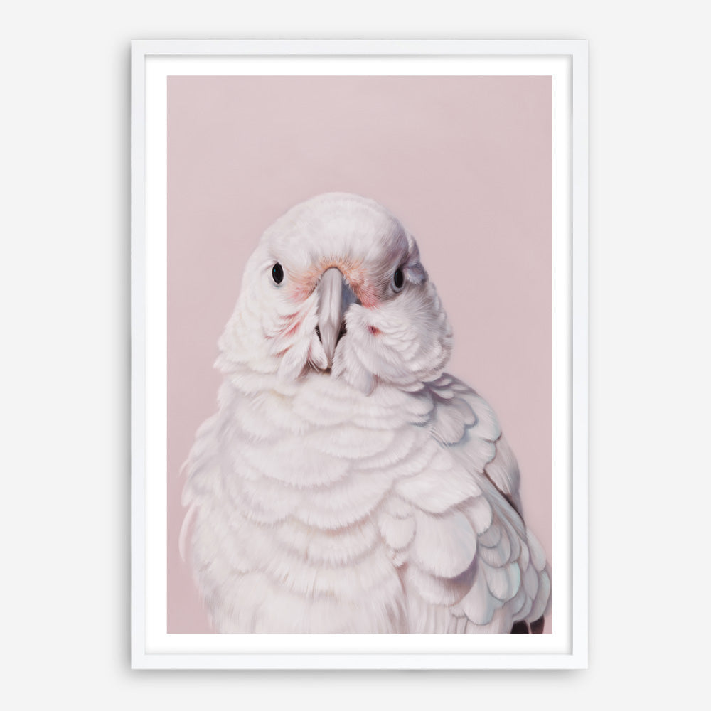 Shop Milly The Umbrella Cockatoo - Pink Art Print a painted bird themed wall art print from The Print Emporium wall artwork collection - Buy Australian made fine art painting style poster and framed prints for the home and your interior decor room, TPE-244-AP