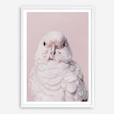 Shop Milly The Umbrella Cockatoo - Pink Art Print a painted bird themed wall art print from The Print Emporium wall artwork collection - Buy Australian made fine art painting style poster and framed prints for the home and your interior decor room, TPE-244-AP