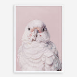 Shop Milly The Umbrella Cockatoo - Pink Art Print a painted bird themed wall art print from The Print Emporium wall artwork collection - Buy Australian made fine art painting style poster and framed prints for the home and your interior decor room, TPE-244-AP