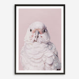 Shop Milly The Umbrella Cockatoo - Pink Art Print a painted bird themed wall art print from The Print Emporium wall artwork collection - Buy Australian made fine art painting style poster and framed prints for the home and your interior decor room, TPE-244-AP