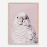 Shop Milly The Umbrella Cockatoo - Pink Art Print a painted bird themed wall art print from The Print Emporium wall artwork collection - Buy Australian made fine art painting style poster and framed prints for the home and your interior decor room, TPE-244-AP