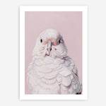 Shop Milly The Umbrella Cockatoo - Pink Art Print a painted bird themed wall art print from The Print Emporium wall artwork collection - Buy Australian made fine art painting style poster and framed prints for the home and your interior decor room, TPE-244-AP