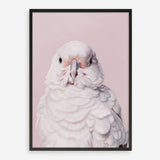Shop Milly The Umbrella Cockatoo - Pink Art Print a painted bird themed wall art print from The Print Emporium wall artwork collection - Buy Australian made fine art painting style poster and framed prints for the home and your interior decor room, TPE-244-AP
