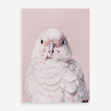 Shop Milly The Umbrella Cockatoo - Pink Art Print a painted bird themed wall art print from The Print Emporium wall artwork collection - Buy Australian made fine art painting style poster and framed prints for the home and your interior decor room, TPE-244-AP