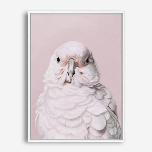 Shop Milly The Umbrella Cockatoo - Pink Canvas Print a painted bird themed framed canvas wall art print from The Print Emporium artwork collection - Buy Australian made fine art painting style stretched canvas prints for the home and your interior decor space, TPE-244-CA-35X46-NF